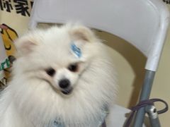 -百益上河城