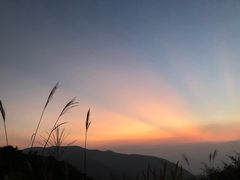 -东白山