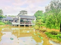 -大亚湾红树林城市湿地公园