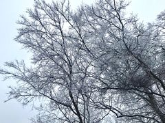 -南京市江宁方山