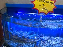 -鹊华居·地道鲁菜·海鲜·融合味(大明湖店)