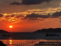 景点-枸杞岛