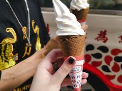 -富豪雪糕车流动点(尖沙咀店)