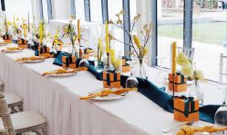 -卡卡喜糖伴手礼·商务礼宝宝礼·婚礼用品