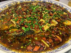 -新概念来凤鱼(璧山店)