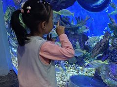 -乌鲁木齐海洋馆