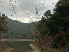 -广州市石门国家森林公园