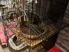 -汇佳桌游剧本咖啡馆(万体馆旗舰店)