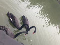 -芭东小镇温泉
