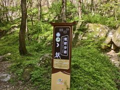 -牛背梁国家森林公园