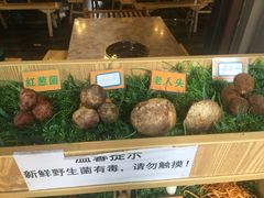 -易门野生菌府·菌海森林(月牙潭公园店)