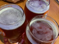 -Boxing Cat Brewery拳击猫精酿啤酒馆(永福店)