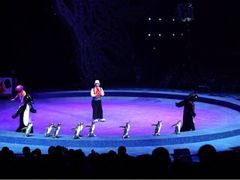 -珠海横琴长隆《卡卡虎奇遇记》