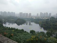 -重庆彩云湖湿地公园