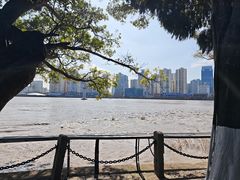 -江心屿景区