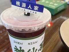 -桃源人家(环城南路店)