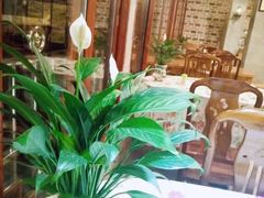 -竹庄餐馆·26年店(南昆山景区店)