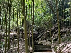 -凤栖山