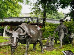 -广州神农草堂中医药博物馆