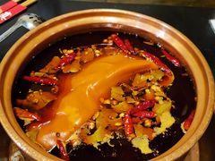 -镇江龙·火锅串串(武侯祠店)