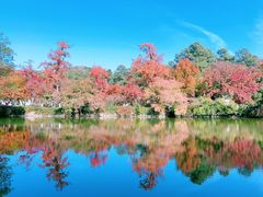 -苏州市天平山风景名胜区