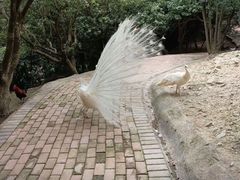 -泉州海丝野生动物世界