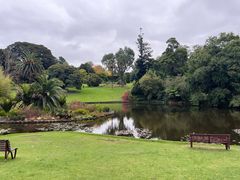 -墨尔本皇家植物园