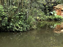 -大屏嶂森林公园
