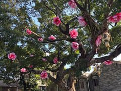 -均和墟历史街区-平和大押