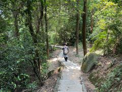 -火炉山森林公园