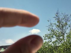 -云顶山风景区