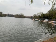 -莱西月湖公园
