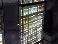 -广东中医药博物馆