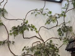 -耳艺采耳·足疗(市桥店)