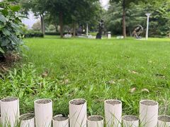 -广东花都湖国家湿地公园