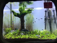 景点-郑州海洋馆