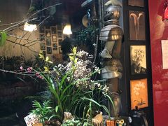 -花到家(富贵鸟花艺行)