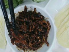 -九毛九西北菜(大东海店)