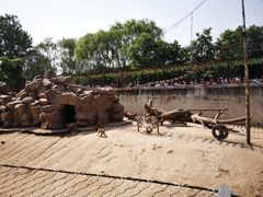 -西安秦岭野生动物园