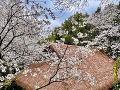 -中国茶叶博物馆(双峰馆区)
