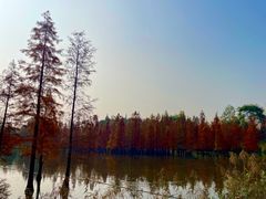 -白鹭湾湿地公园