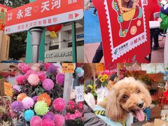 -天河体育中心