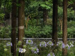 -和平公园
