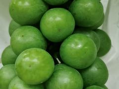 -马陆小张葡萄园农家乐