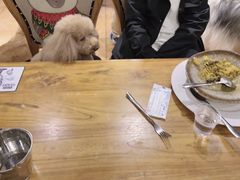 -more than meow吴止猫主题餐厅(承德 中船汇店)