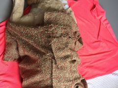 -瑞派宠物医院·24h·骨外科·皮肤科·全科宠物医疗转诊中心(沈阳浑南院)