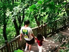 -帽儿山国家森林公园