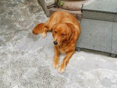 -古都梅按摩足浴(世界广场店)