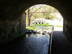 -白水寺森林公园