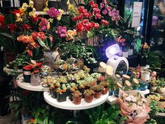 -Olé精品超市(北京合生汇店)